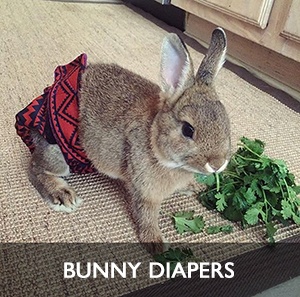 bunny-diapers-300x300.jpg (300×297)